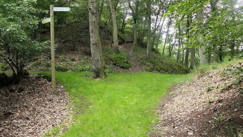 Saar Hunsrueck Steig