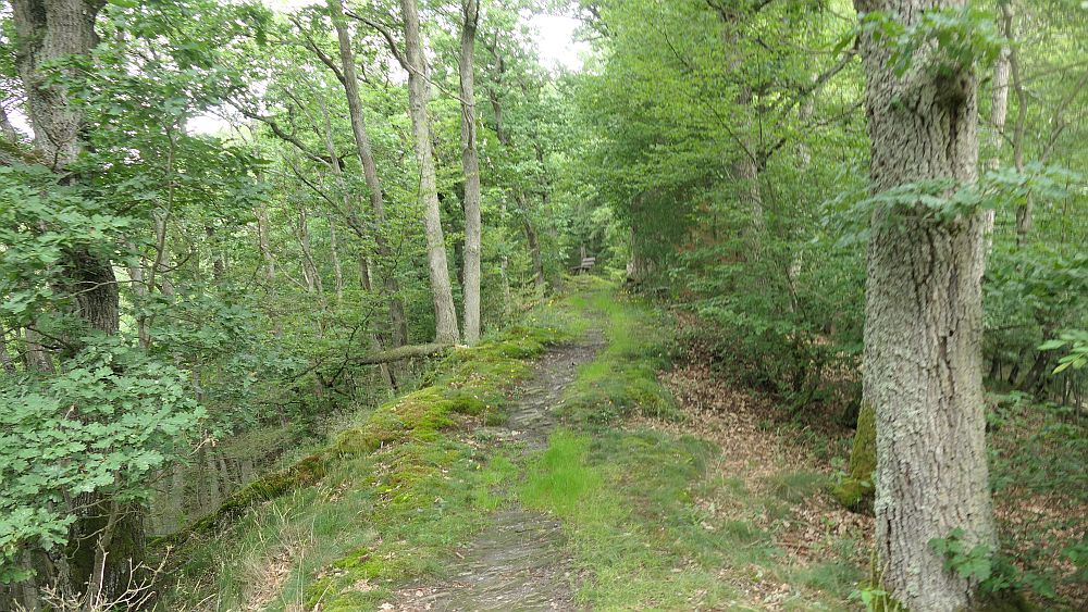 Saar Hunsrueck Steig