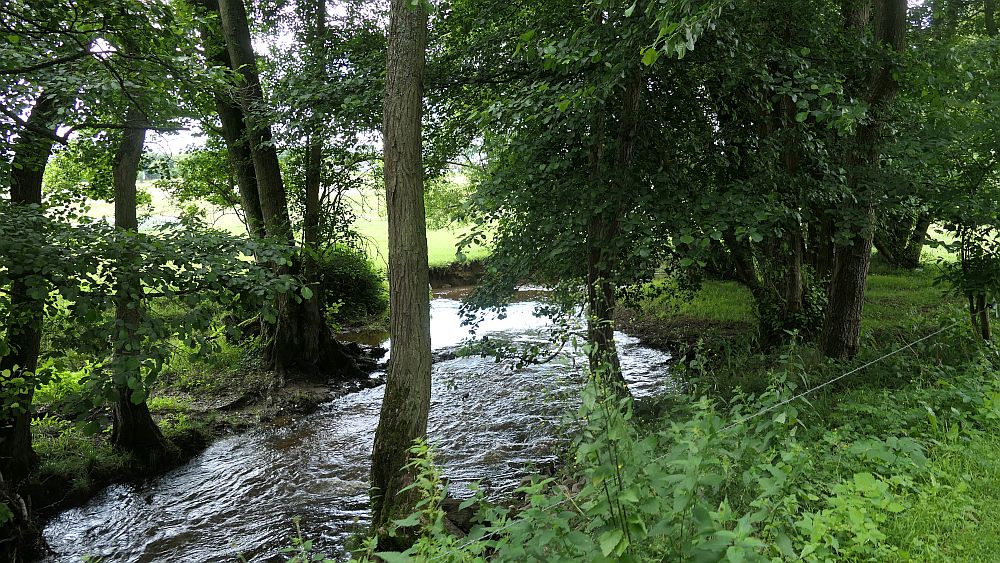 Saar Hunsrueck Steig