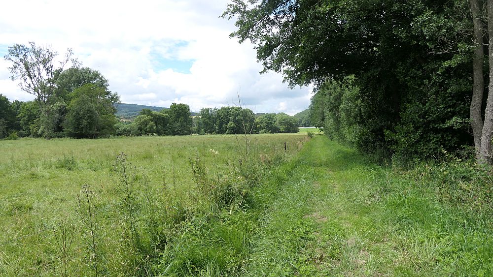 Saar Hunsrueck Steig