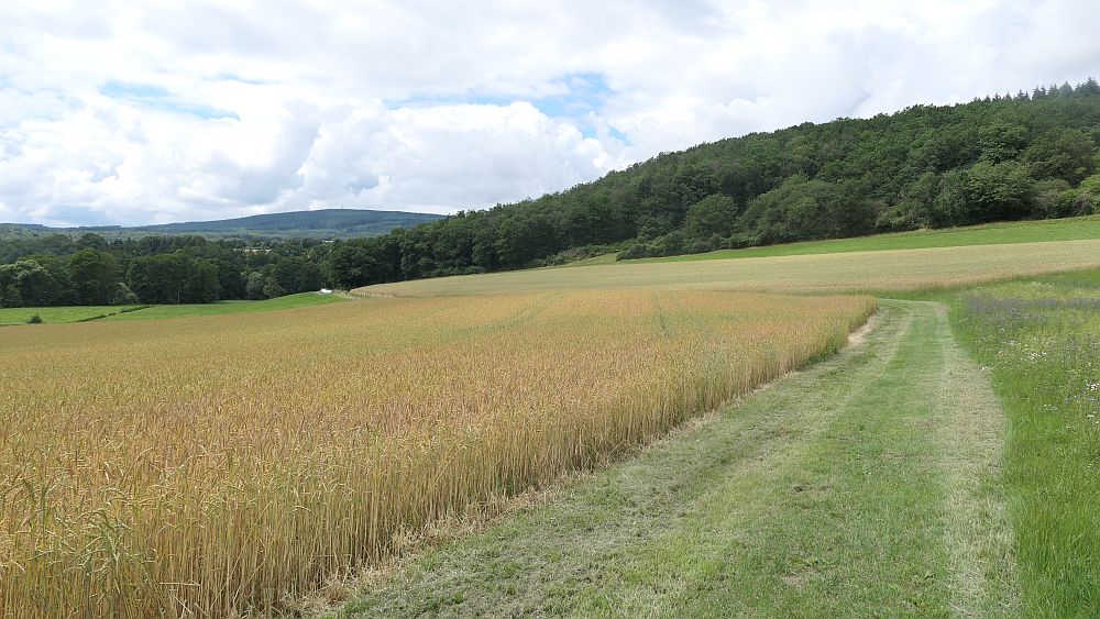 Saar Hunsrueck Steig