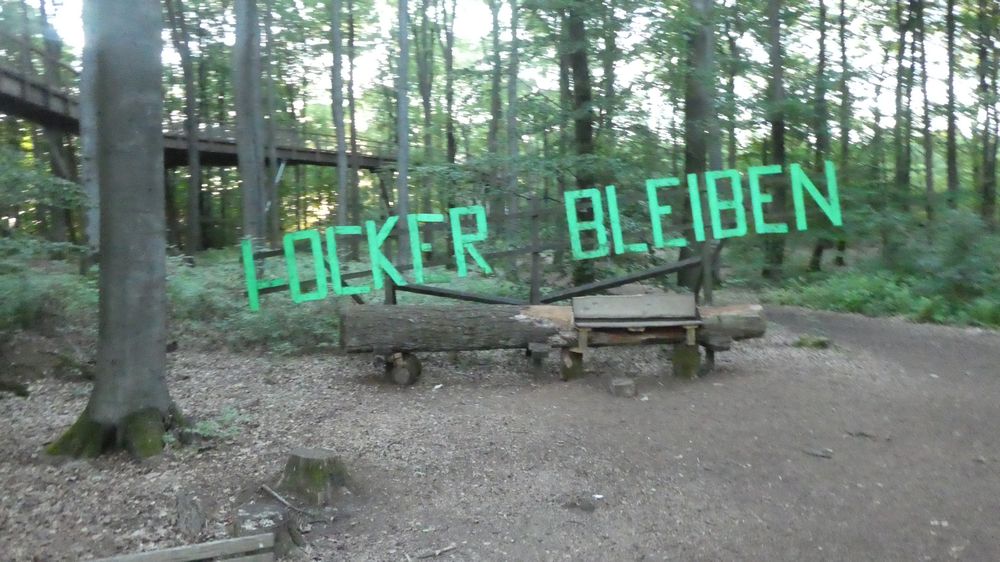 Saar Hunsrueck Steig