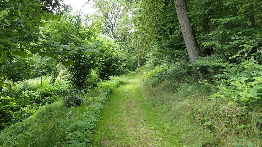 Saar Hunsrueck Steig