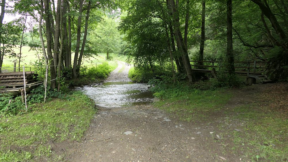 Saar Hunsrueck Steig