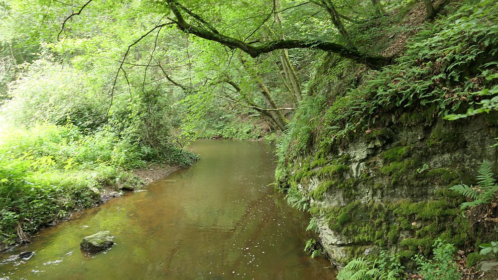 Saar Hunsrueck Steig