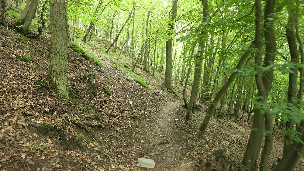 Saar Hunsrueck Steig