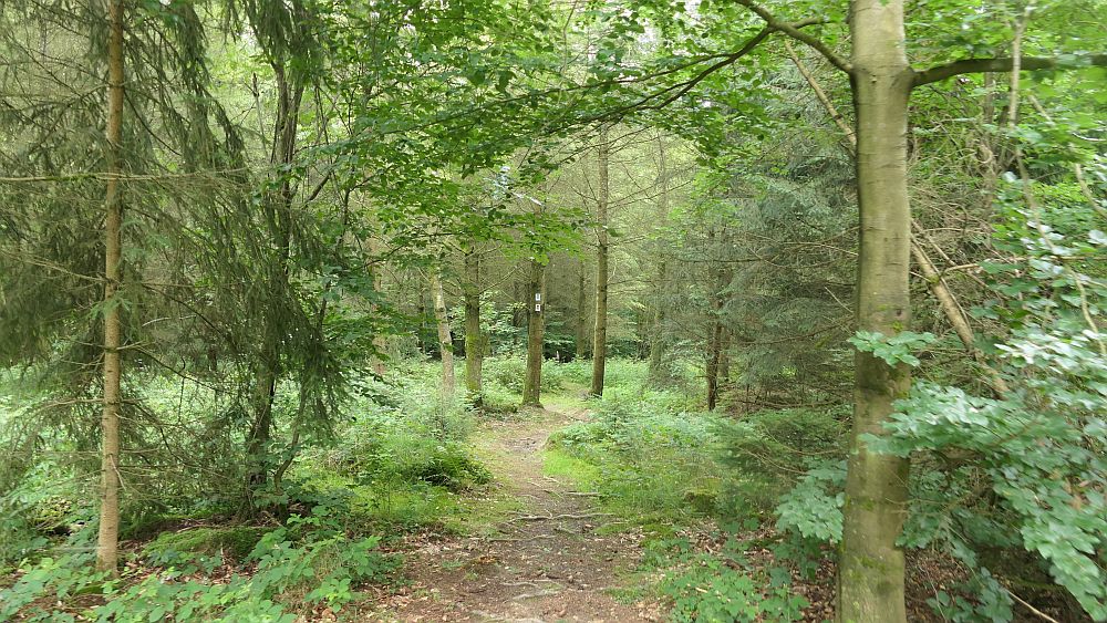 Saar Hunsrueck Steig
