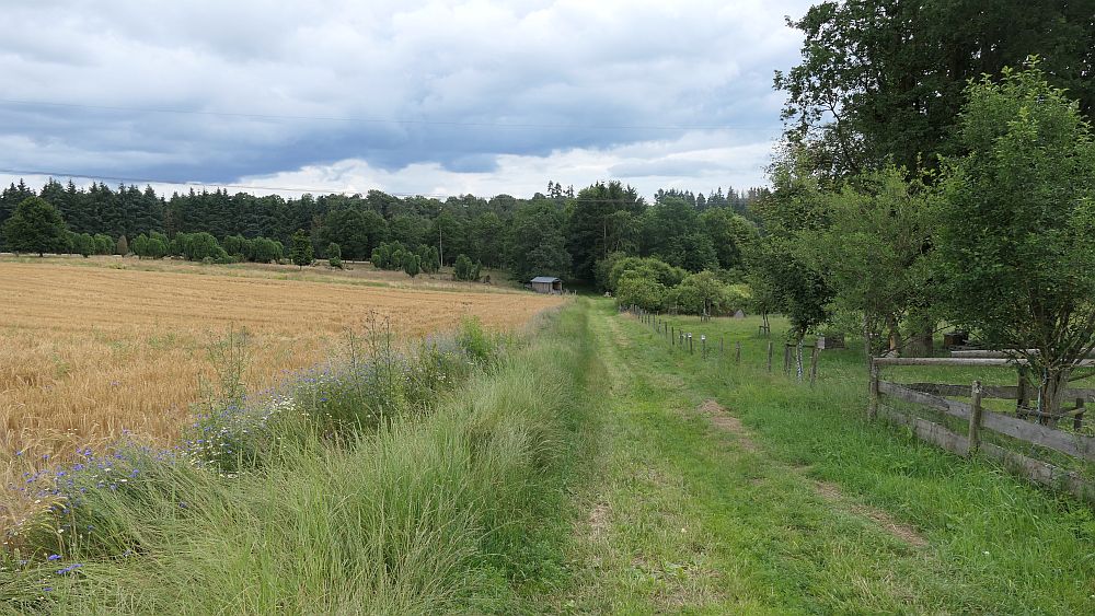 Saar Hunsrueck Steig