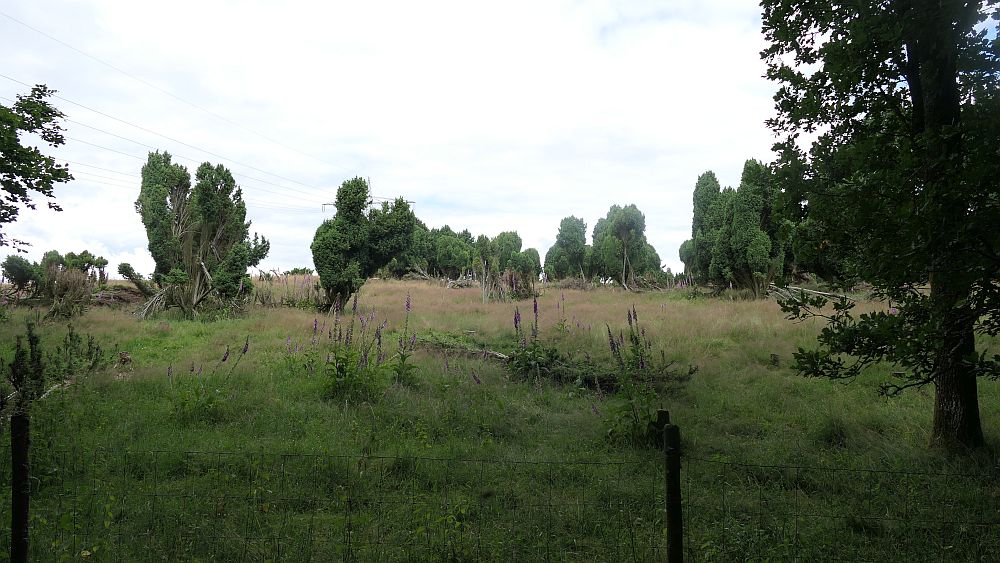 Saar Hunsrueck Steig