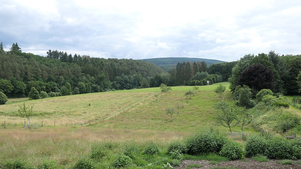 Saar Hunsrueck Steig