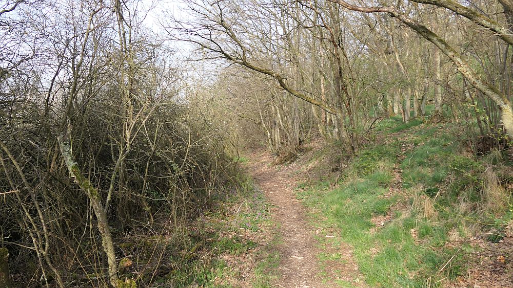 Saar Hunsrueck Steig