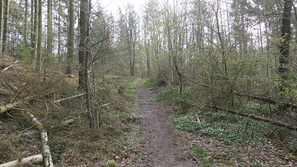 Saar Hunsrueck Steig