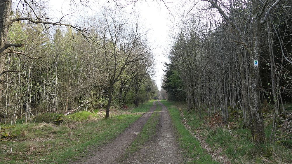 Saar Hunsrueck Steig