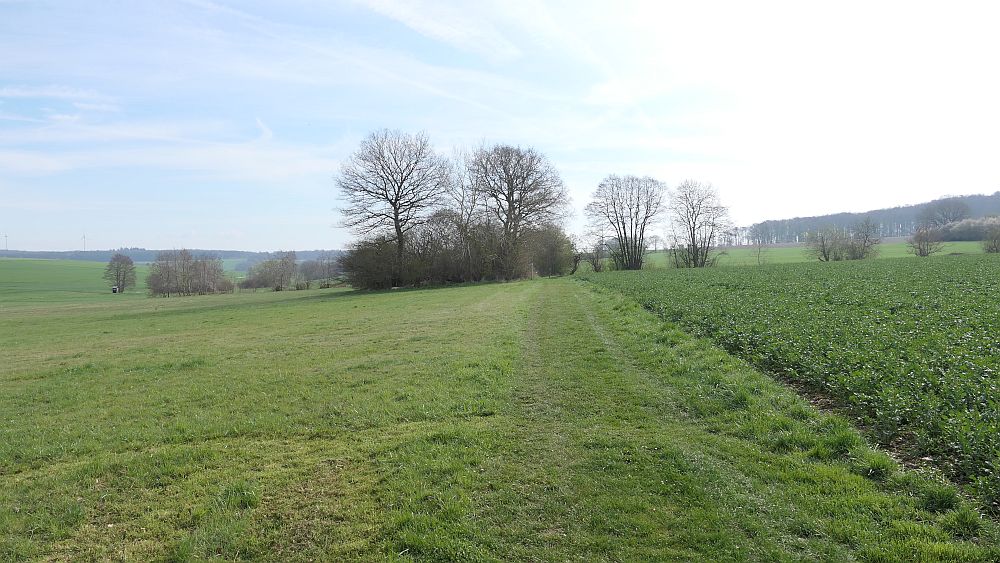 Saar Hunsrueck Steig