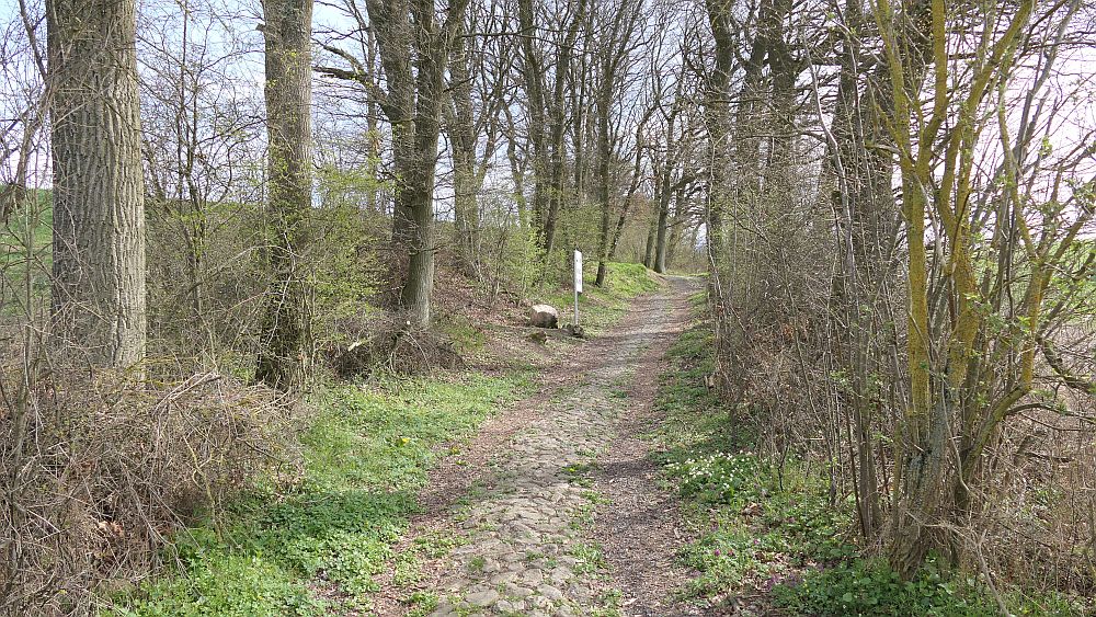 Saar Hunsrueck Steig