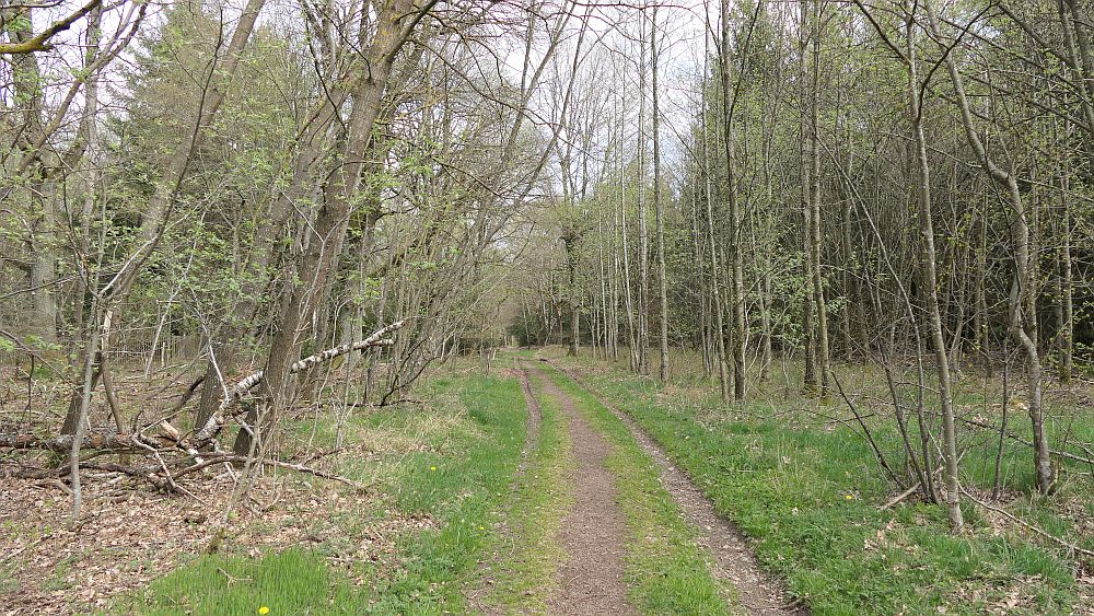 Saar Hunsrueck Steig
