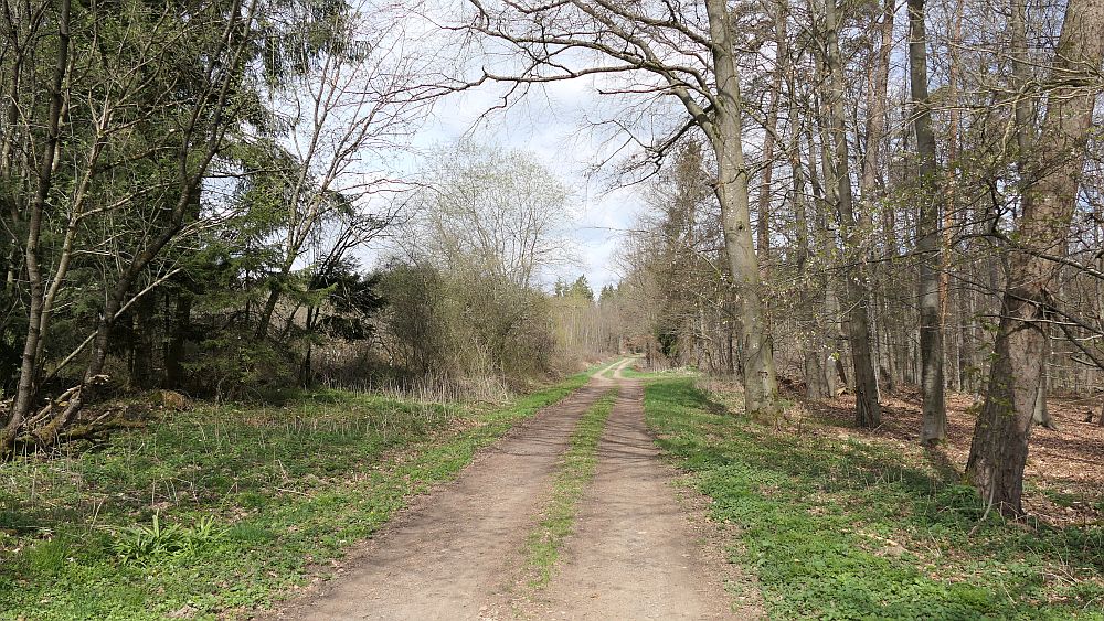Saar Hunsrueck Steig