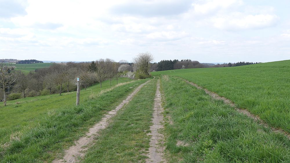 Saar Hunsrueck Steig