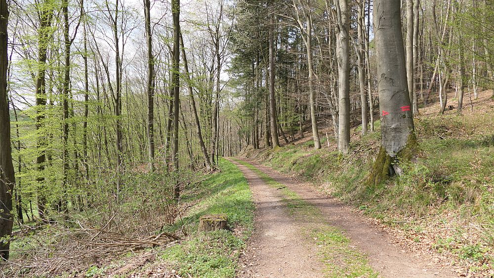 Saar Hunsrueck Steig