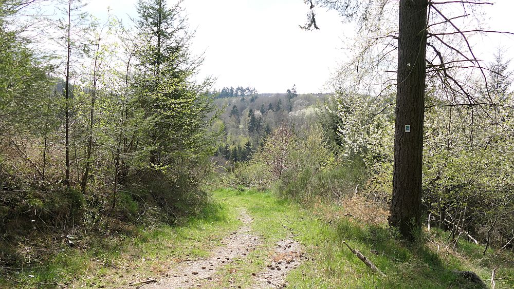 Saar Hunsrueck Steig