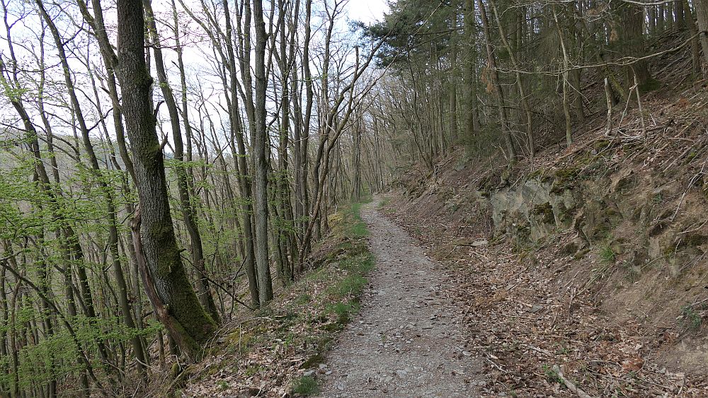 Saar Hunsrueck Steig