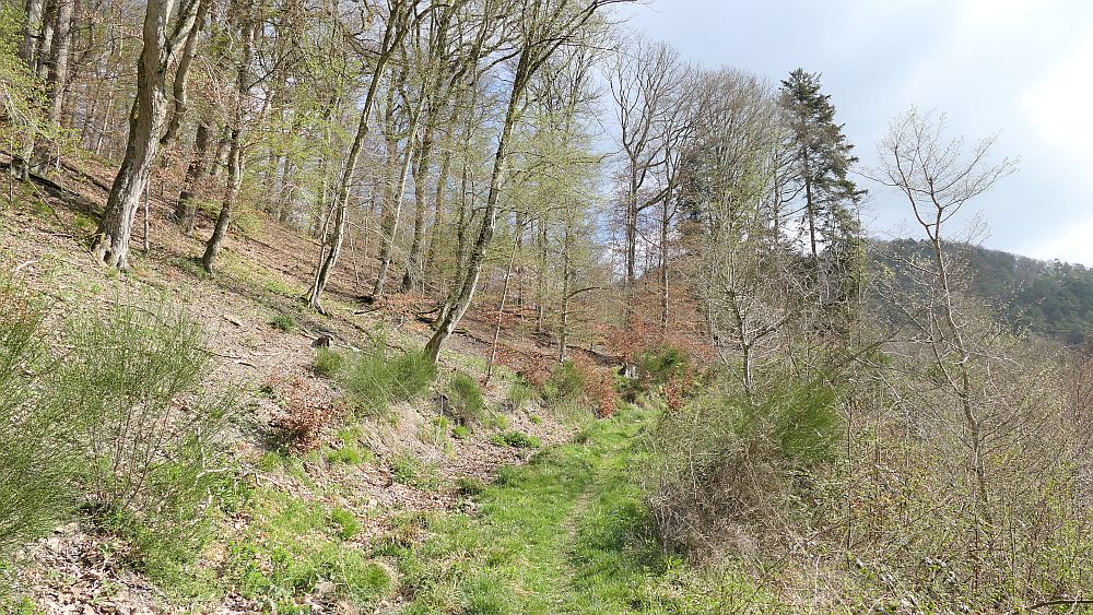 Saar Hunsrueck Steig