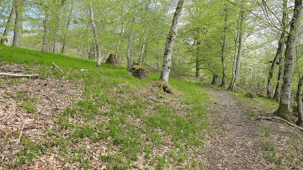 Saar Hunsrueck Steig