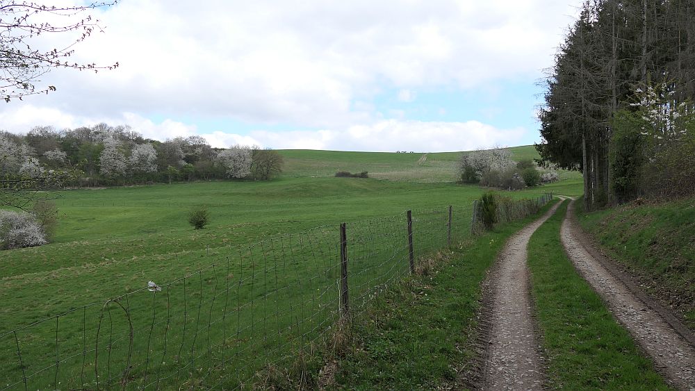 Saar Hunsrueck Steig