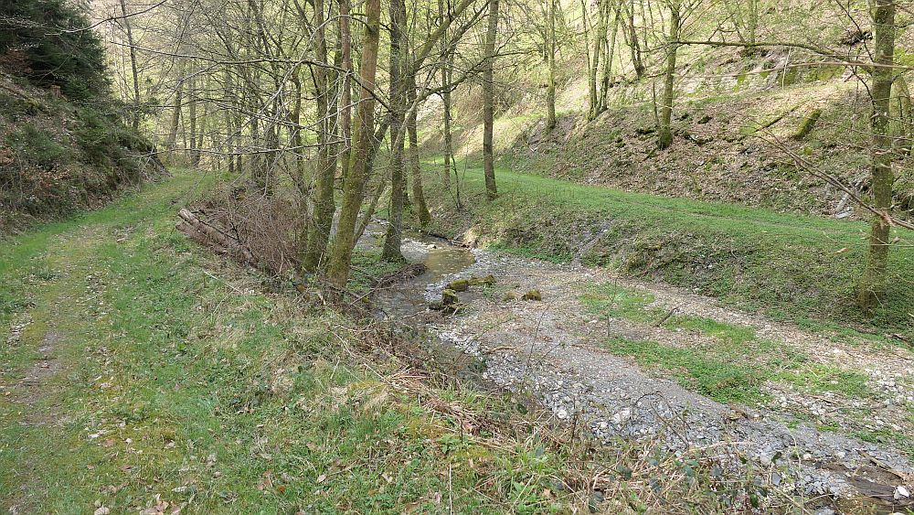 Saar Hunsrueck Steig