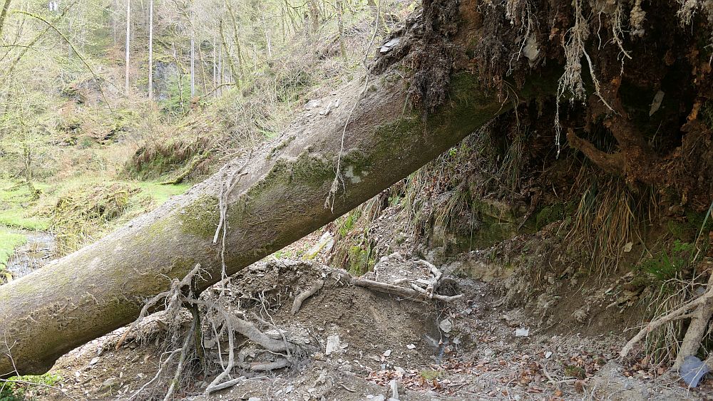 Saar Hunsrueck Steig