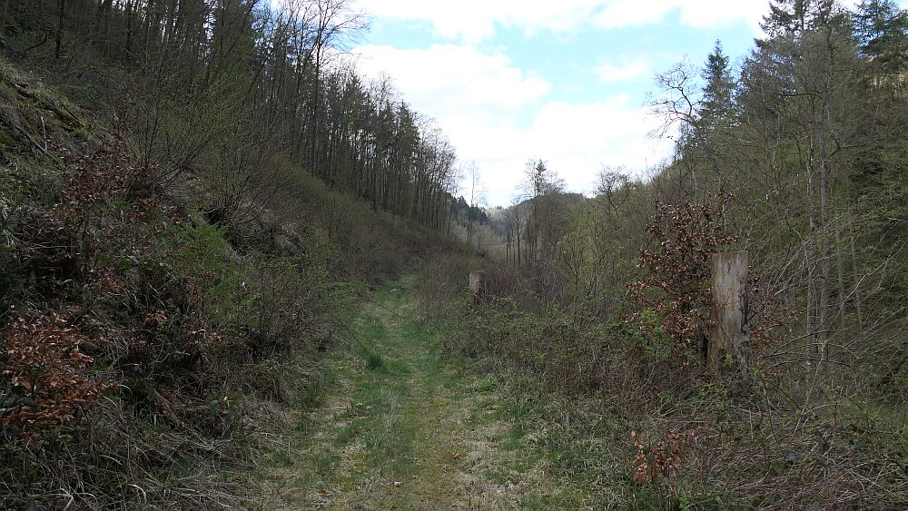 Saar Hunsrueck Steig