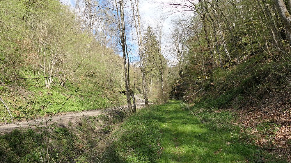 Saar Hunsrueck Steig