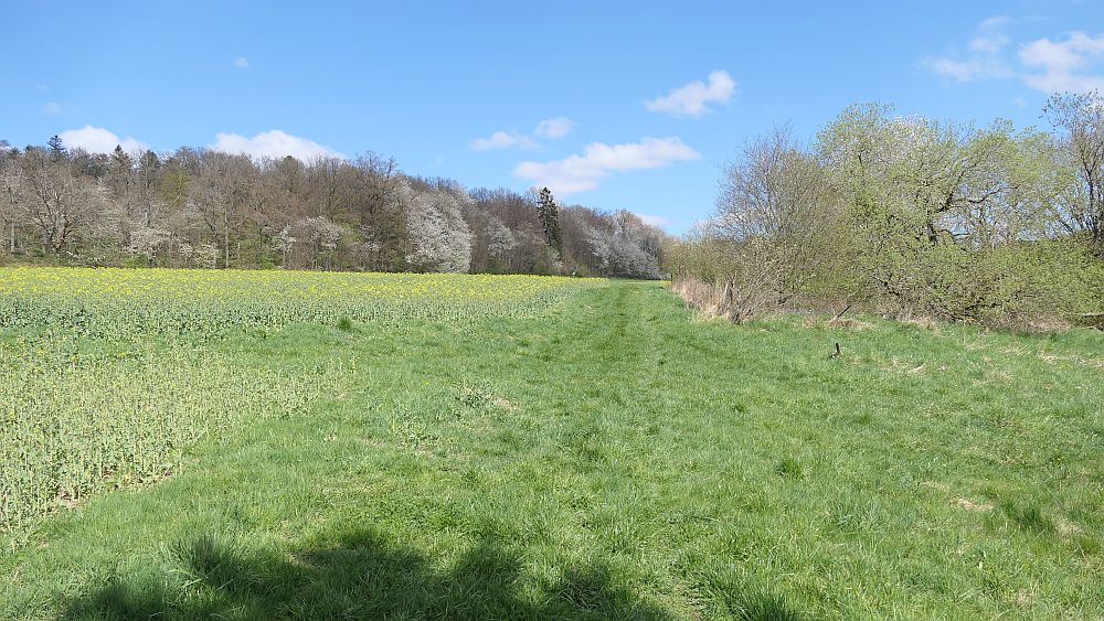 Saar Hunsrueck Steig