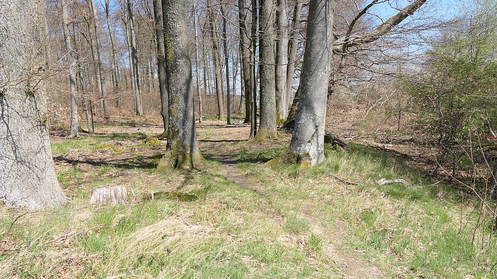 Saar Hunsrueck Steig