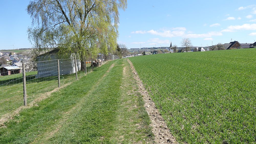 Saar Hunsrueck Steig