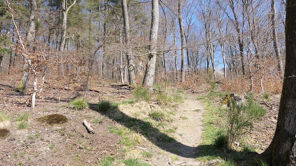 Saar Hunsrueck Steig
