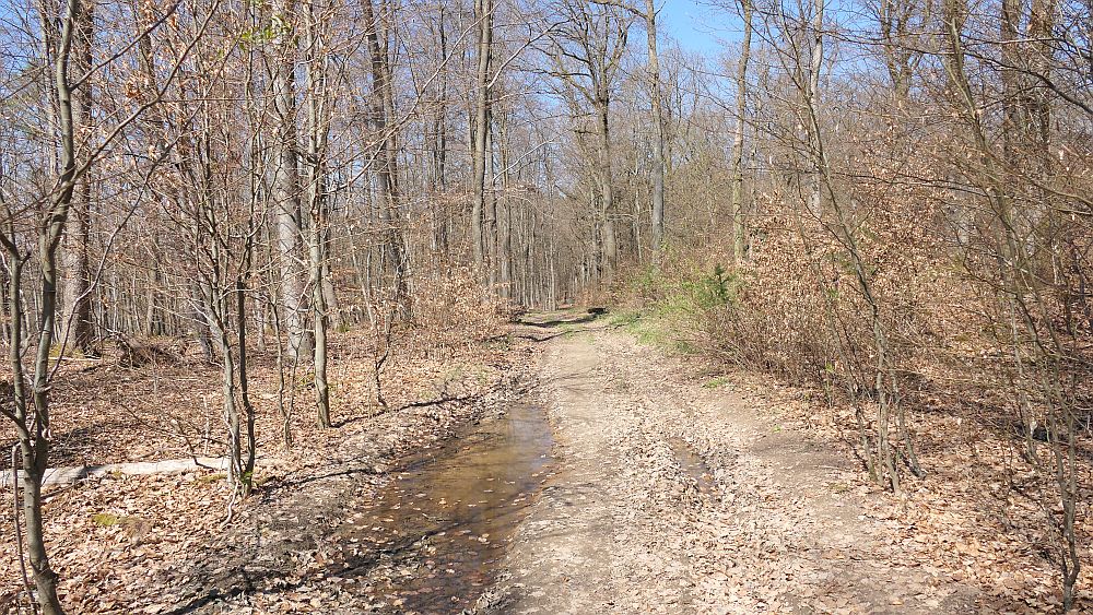Saar Hunsrueck Steig