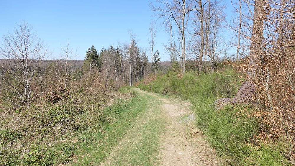 Saar Hunsrueck Steig