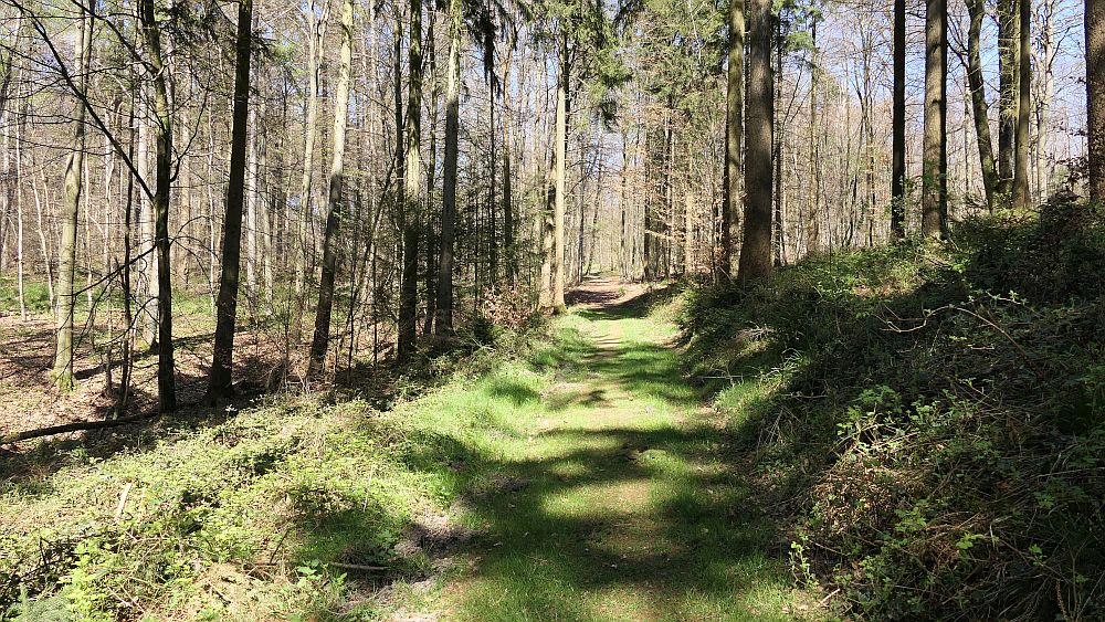 Saar Hunsrueck Steig
