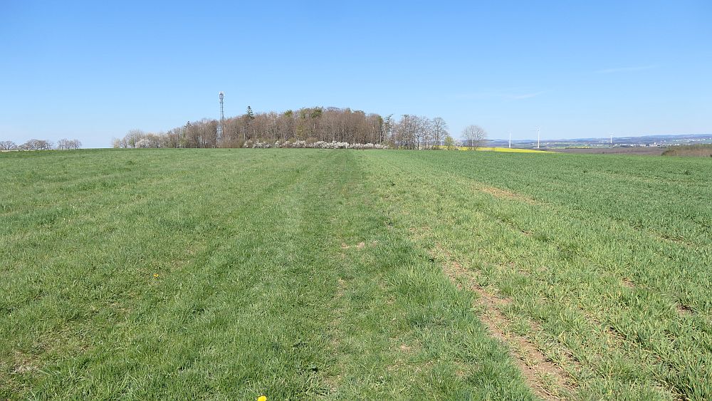 Saar Hunsrueck Steig