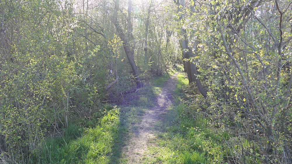 Saar Hunsrueck Steig