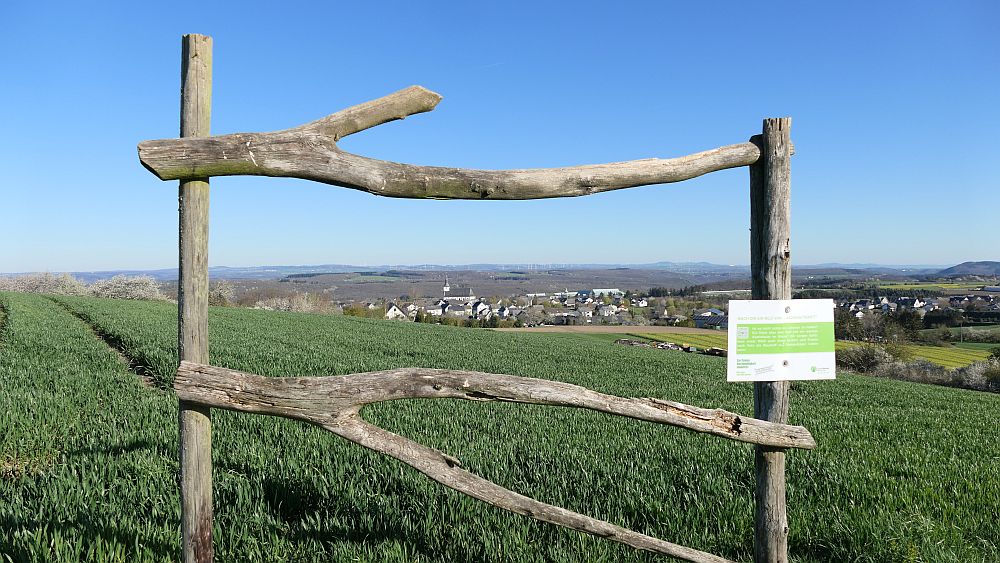 Saar Hunsrueck Steig