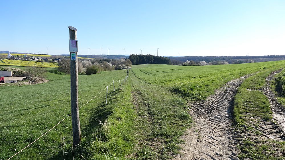 Saar Hunsrueck Steig