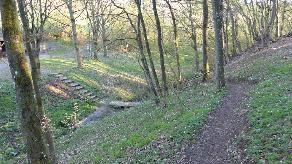 Saar Hunsrueck Steig