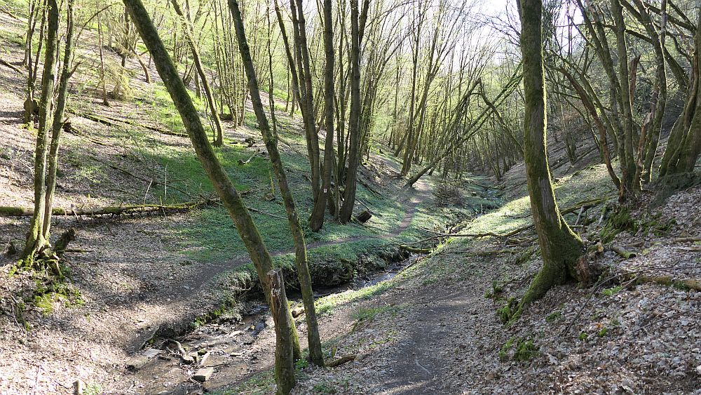 Saar Hunsrueck Steig