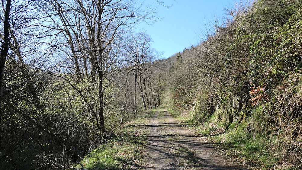 Saar Hunsrueck Steig