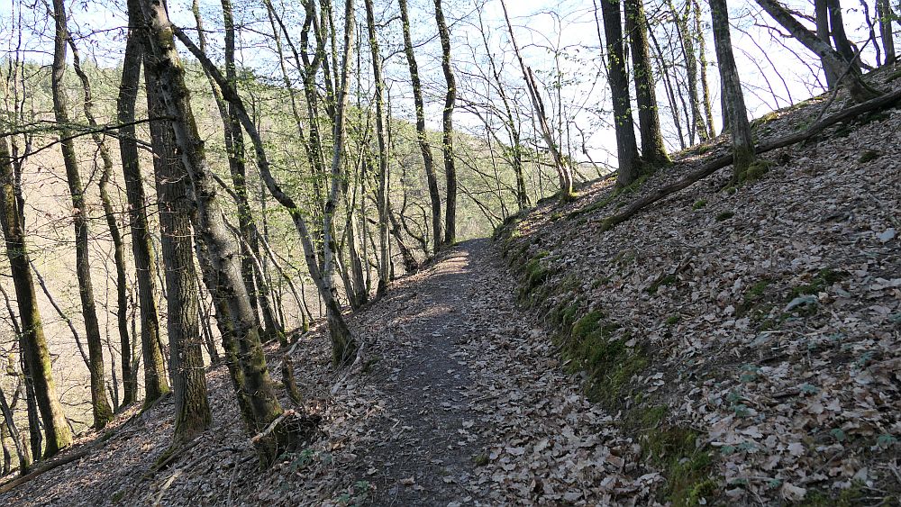 Saar Hunsrueck Steig
