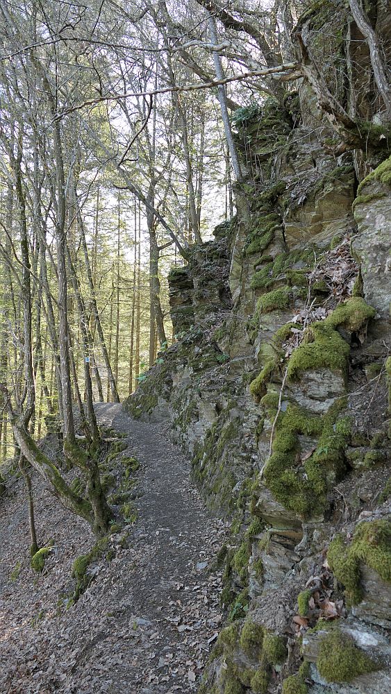 Saar Hunsrueck Steig