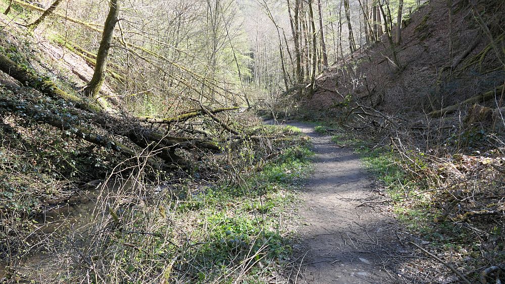 Saar Hunsrueck Steig