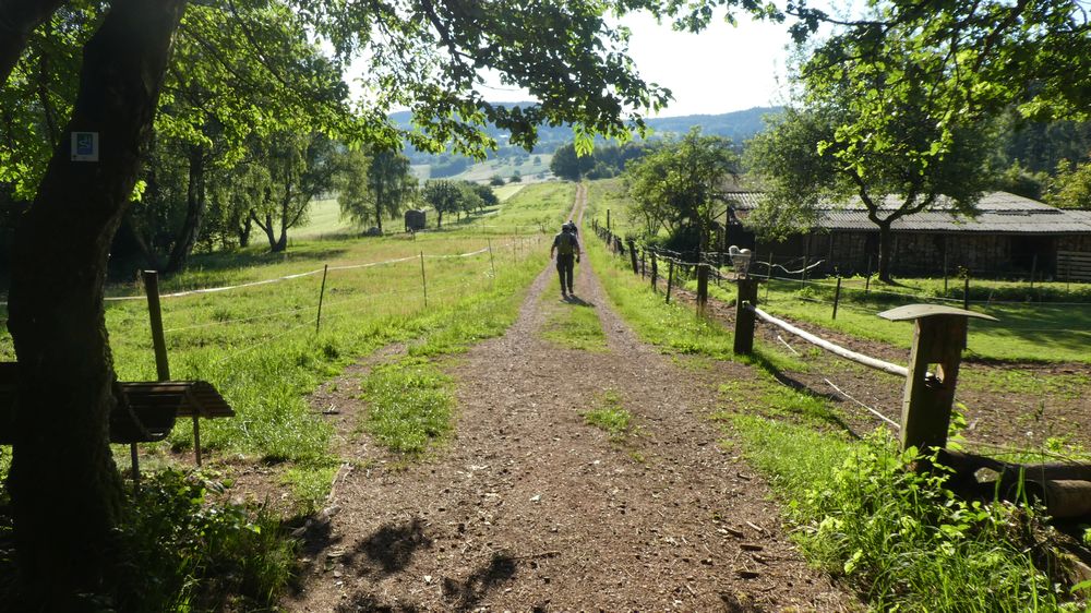 Saar Hunsrueck Steig